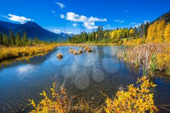 Sunny autumn day in the Canadian Rockies. Shallow Lake Vermilion among the mountains and forests