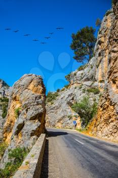 The largest alpine canyon Verdon, Provence, France. The migrating cranes over mountain road