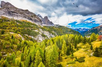 The shores of the glacial lake in the Dolomites. Autumn day. On the mountain slopes there is a coniferous forest