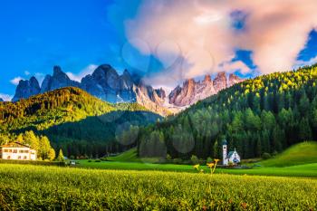 The sun illuminates fabulous jagged rocks of Tirol and green forest. The Dolomites. The concept of eco-tourism in Alpine meadows