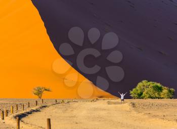  The concept of extreme and exotic tourism. Man in a white T-shirt is delighted with the beauty of nature. Purple and yellow dune of the Namib desert. Sunset