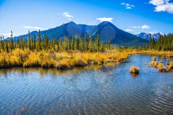Shallow Lake Vermilion is surrounded by forests and mountains. Indian summer in the Rocky Mountains of Canada