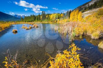  The superficial lake Vermilion among mountains and the woods. Indian summer in the Rocky Mountains of Canada