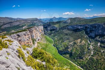 Magnificent May in the wooded mountains. Canyon of Verdon, Provence, France.