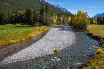 The shallow stream among green and yellow grass lawns. Delightful stunning park Banff in the Rocky Mountains of Canada