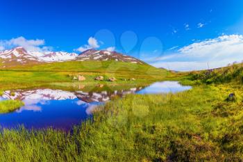 Summer Iceland. Blue lake water reflects the snowy hills. The fields overgrown with fresh green grass