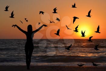 Learning to fly abstract concept with silhouettes of woman and birds at sunrise