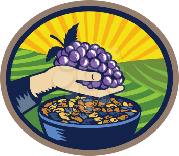 Illustration of a hand holding grapes with raisins in a bowl set inside oval shape with sunburst in the background done in retro woodcut style. 