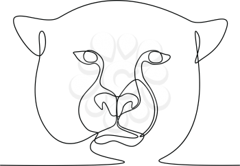 Continuous line illustration of cheetah or big cat head viewed from front  done in black and white monoline style.