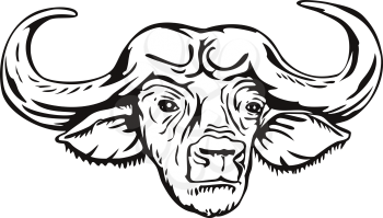 Retro woodcut style illustration head of an African buffalo or Cape buffalo Syncerus caffer, a large sub-Saharan African bovine, viewed from front on isolated background done in black and white.