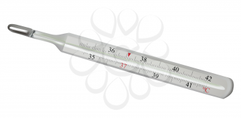 Thermometer Isolated 