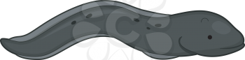 Royalty Free Clipart Image of an Eel