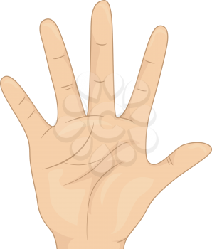 Illustration Featuring an Open Palm Gesturing the Number Five