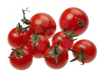 Royalty Free Photo of Tomatoes on a Vine