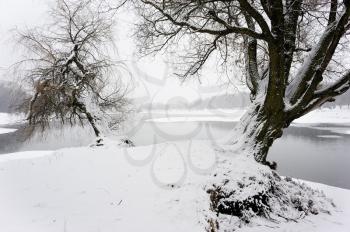 Royalty Free Photo of a Winter River Scene