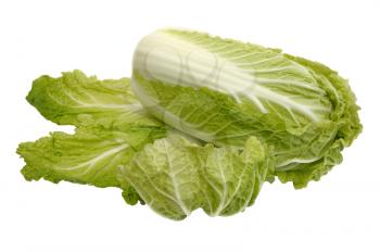 Royalty Free Photo of a Beijing Cabbage