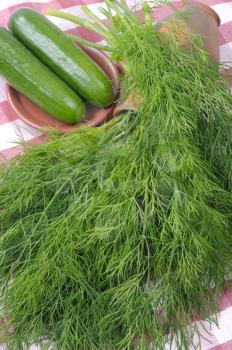 Royalty Free Photo of Cucumbers and Dill