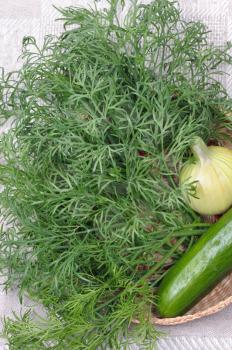 Royalty Free Photo of an Onion, Dill and Cucumber