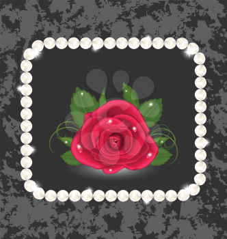 Illustration vintage with red rose and pearls - vector