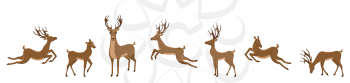 Set of Deers Isolated. Sika Deers, Reindeers, Stags - Illustration Vector