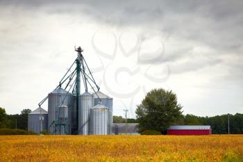 Farm silos storage towers in yellow crops landscape view