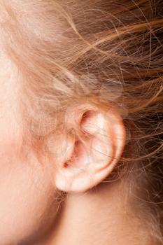 picture of the womens ear