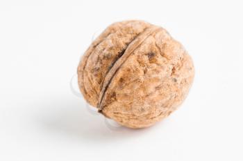 Unbrocken walnut on white macro on white background