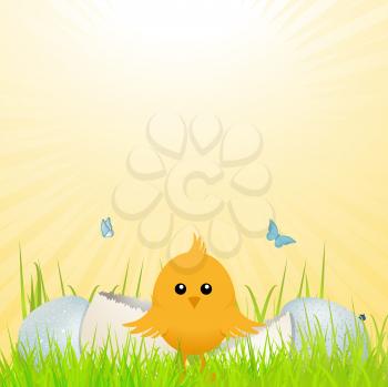 Easter Chick in front of Broken egg on spring Background with Butterflies