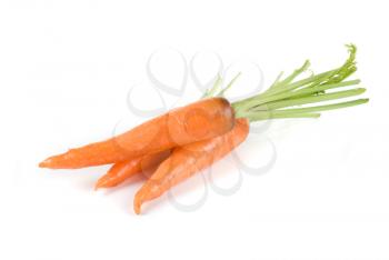 Royalty Free Photo of Carrots 