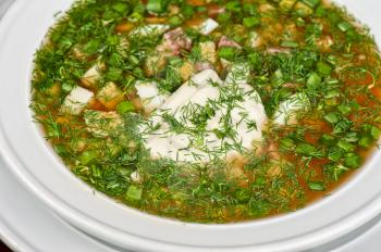 Traditional Russian kvass soup with vegetables - okroshka