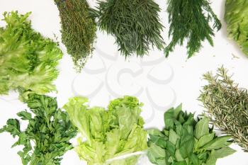 Different types of fresh garden herbs isolated on white background