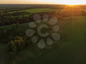 Top aerial view of green fields and meadows in evening summer. Landscape with drone in Altai