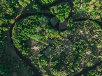 Heart shaped river in Altai territory. Summer june forest. Wonder of nature place, aerial drone view