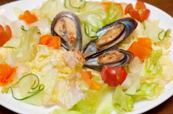 Seafood salad at plate closeup photo
