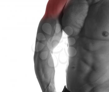 Muscular male torso with shoulders selected on white background