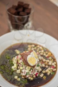 Traditional Russian kvass soup with vegetables - okroshka