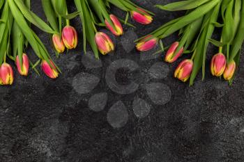 Tulips on darken concrete background for Mother's Day, spring time or Easter theme.
