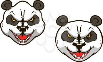 Angry panda bear head for sports mascot design