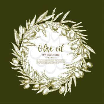 Olives vector sketch poster of green olive tree branches in round wreath for olive oil organic products, vegetarian food seasoning package or vegetable salad dressing or flavoring ingredient