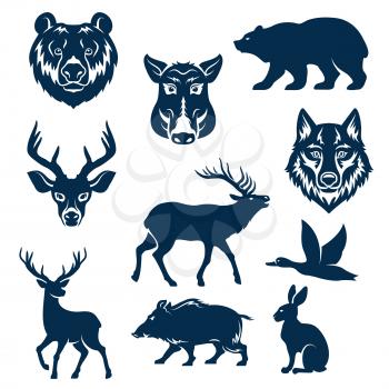 Wild animals and birds for hunting club design templates. Vector isolated icons or grizzly bear, aper boar, wolf and hare or rabbit, deer and elk or reindeer and duck for hunter open season badge