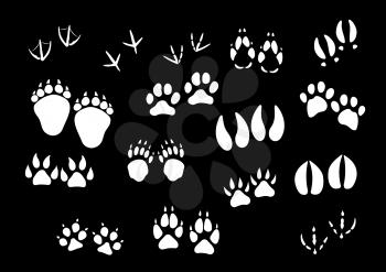 Track imprints of wild animal paws or hooves and birds feet. Foot traces of dog or car pet, sparrow or dove, wolf and fox or farm cow and horse hoof, bear or panther claw. Vector isolated icons set