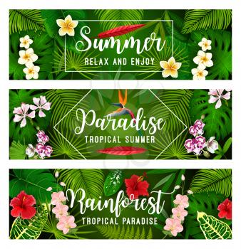 Tropical summer holiday banner of exotic palm leaf and flower. Jungle monstera, fern and fan palm green foliage flyer, adorned with orchid, hibiscus, plumeria and strelitzia for beach vacation design