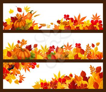 Autumn foliage and fall leaves banners templates for seasonal greeting cards or autumn sale design. Vector set of maple leaf, oak acorn or pumpkin and rowan berry harvest with mushrooms and berries