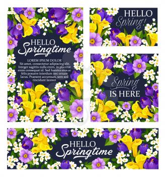 Springtime greeting cards and banners with seasonal quotes. Vector design with Spring is here and Hello springtime quotations and blooming flowers of lily, crocuses and orchids or tulips
