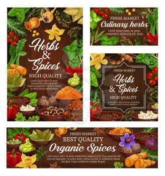 Herbs and spices vector posters of natural food seasonings. Basil, pepper and rosemary, cinnamon, vanilla and ginger, nutmeg, garlic and chilli, bay leaf, star anise and thyme on wooden background