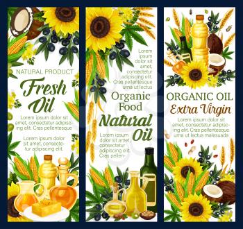 Vegetable oils of sunflower, olive and nuts. Vector organic farming products of coconut butter and hemp seed, hazelnut and corn, colza and canola. Plants, bottles and pitcher jars