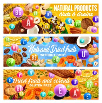 Vitamins in nuts, dried fruits, grains and cereals. Vector raisins, almond and dates, peanut, pineapple and prune, hazelnut, apricot and fig, walnut, coconut and pistachio, cashew, buckwheat and wheat