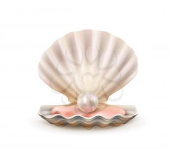 Seashell with pearl realistic 3d vector of sea and ocean treasure design. Open shells of scallop marine mollusk or shellfish with shiny white pearl inside