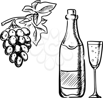 Champagne or sparkling wine bottle with filled glass and grapevine with bunch of grape fruits, outline sketch style