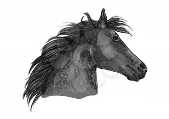 Black racehorse sketch with horse head of purebred arabian stallion. Horse racing badge, equestrian sport and horse breeding farm symbol design